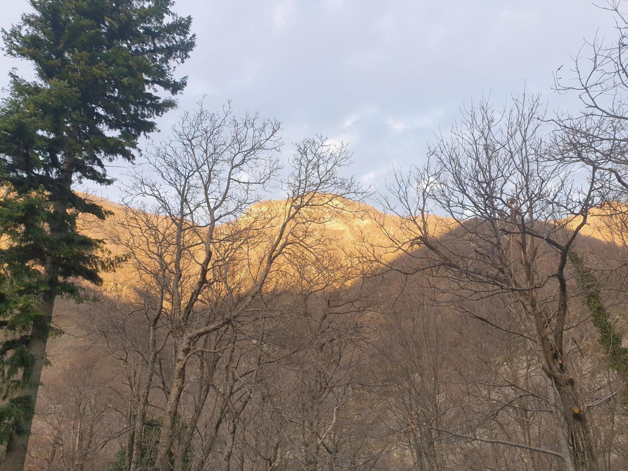 Locanda In Montagna Da Emili&Gabriel ลิซซาโน อิน เบลเวเดเร ภายนอก รูปภาพ
